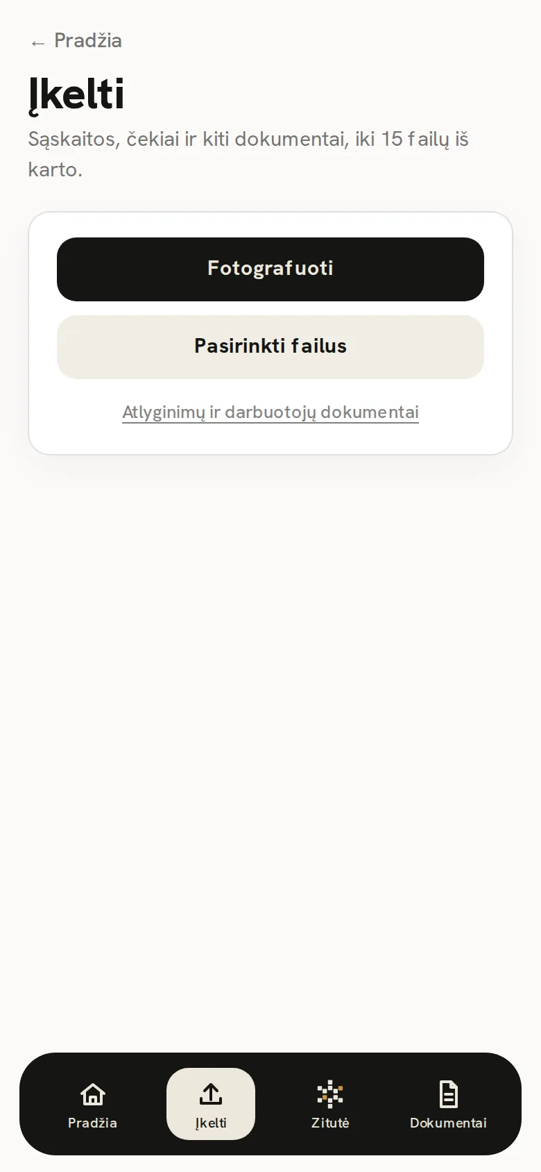 Zitutės ekranas: dokumentų įkėlimas